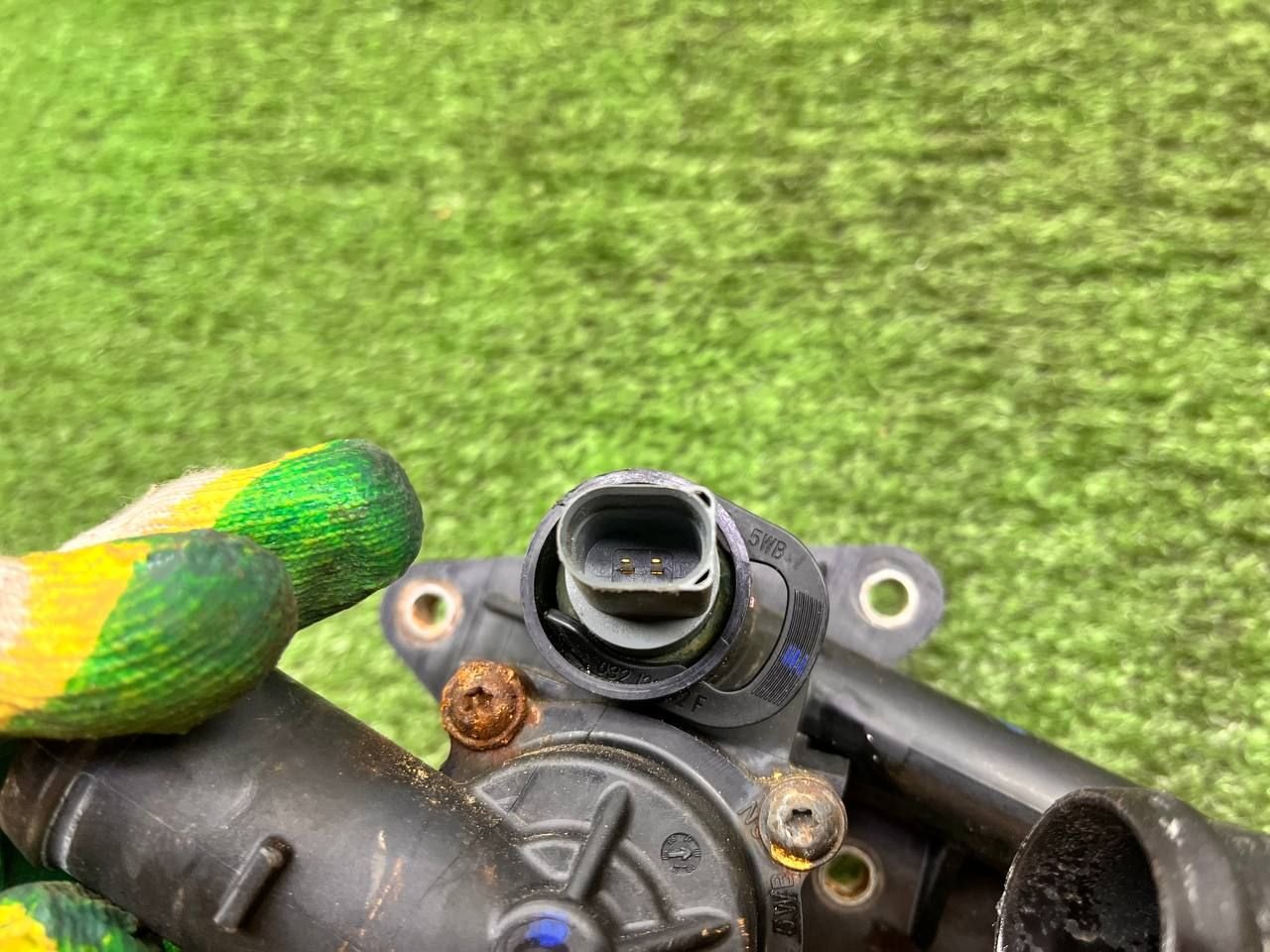 thumb