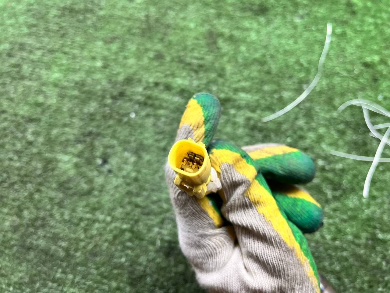 thumb