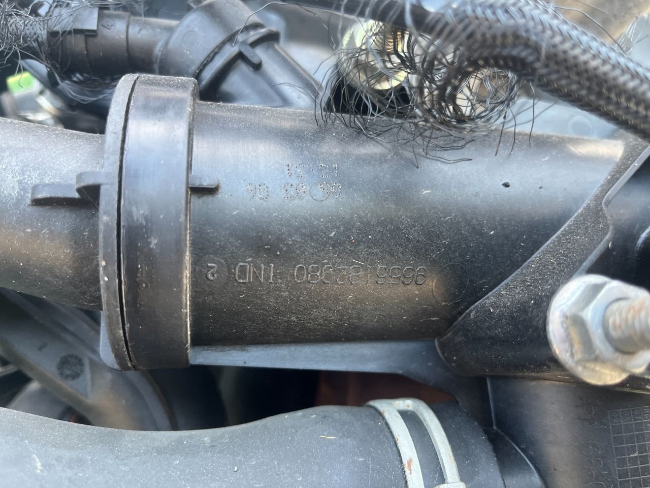 thumb