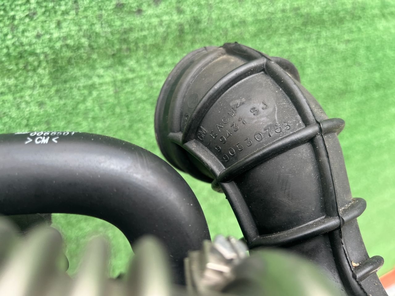 thumb