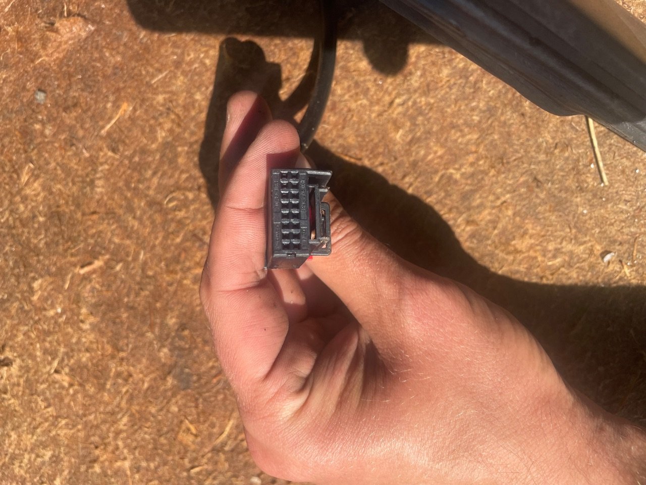 thumb