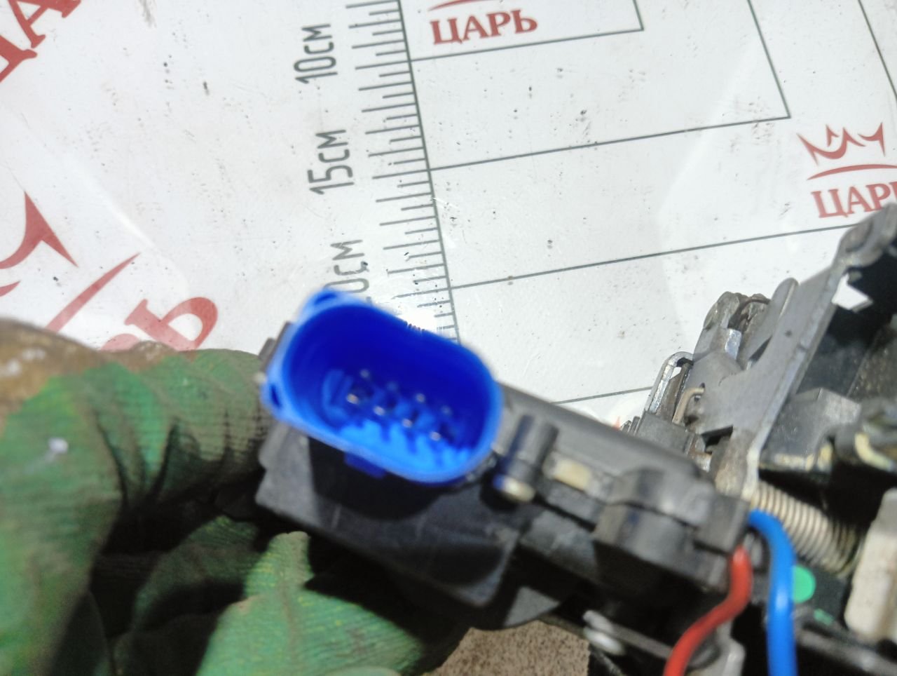 thumb