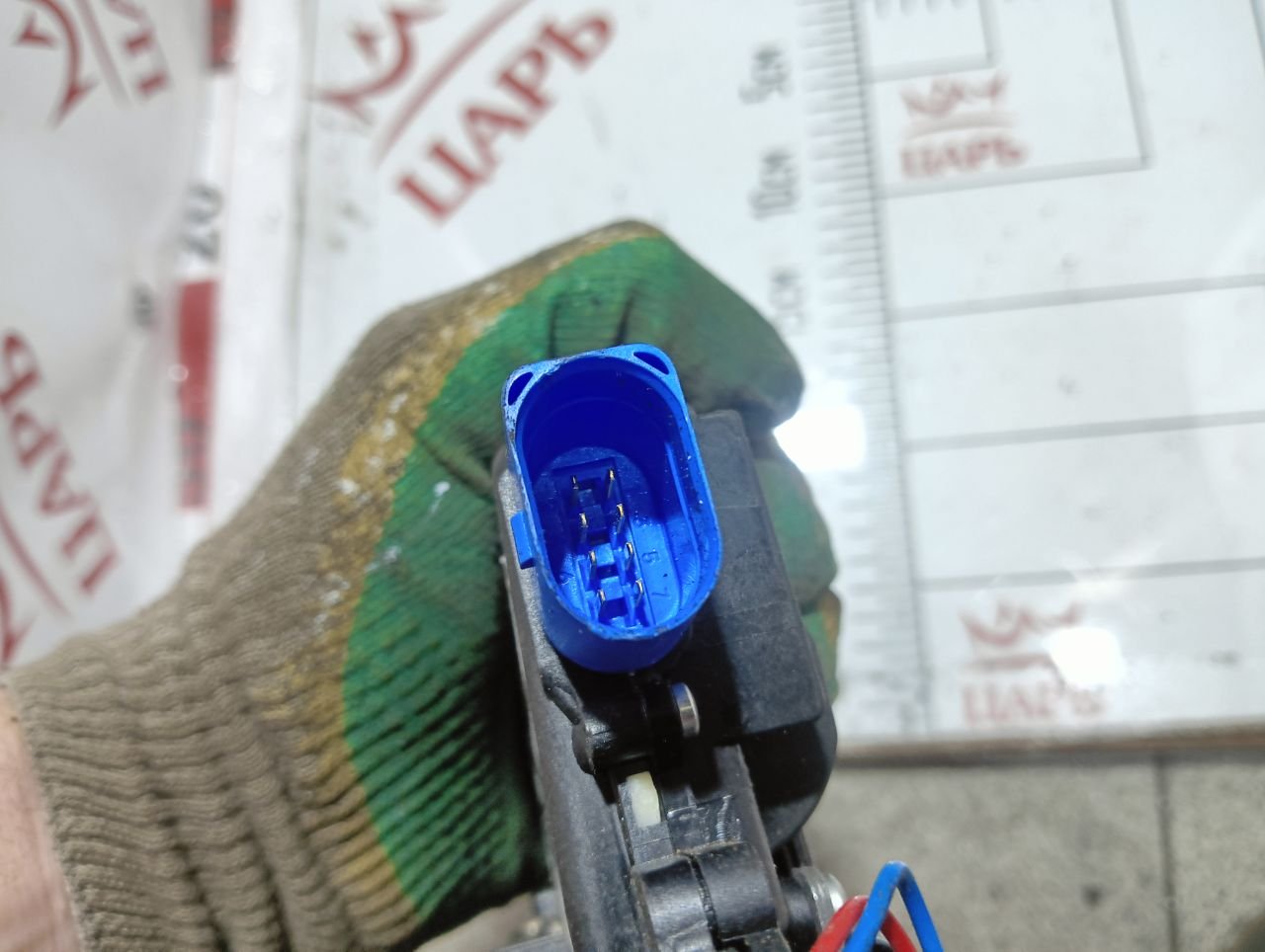 thumb