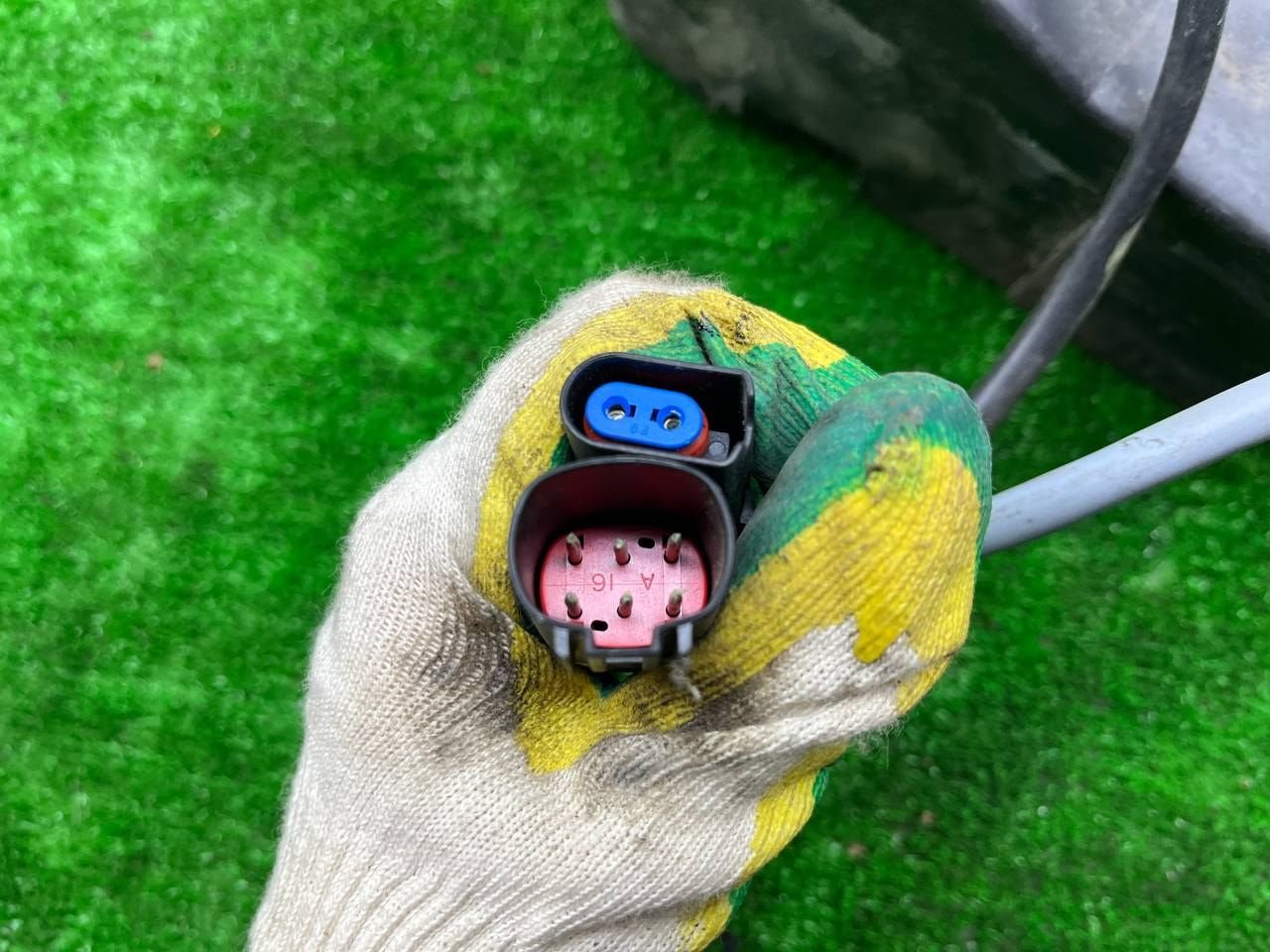 thumb