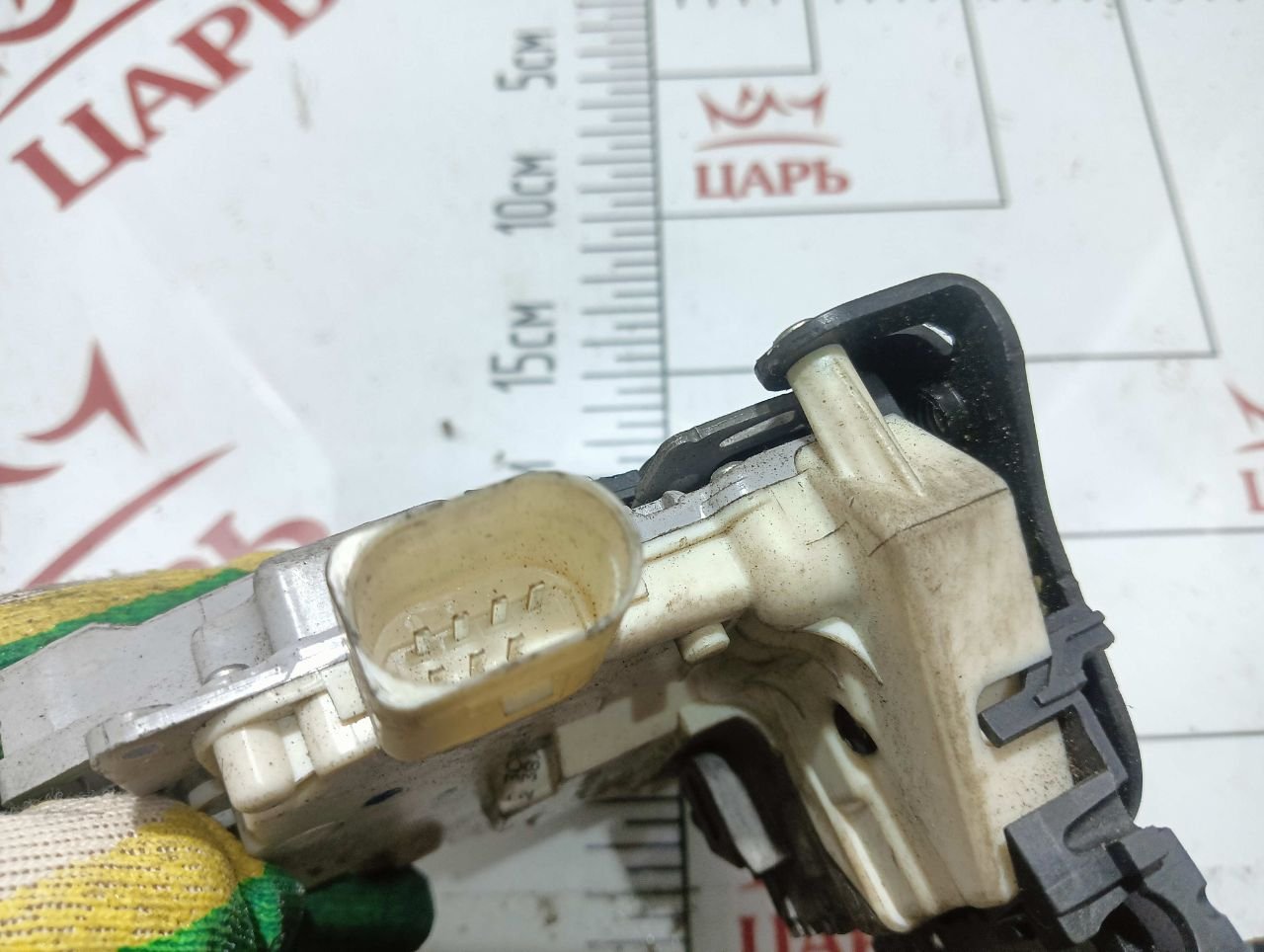 thumb