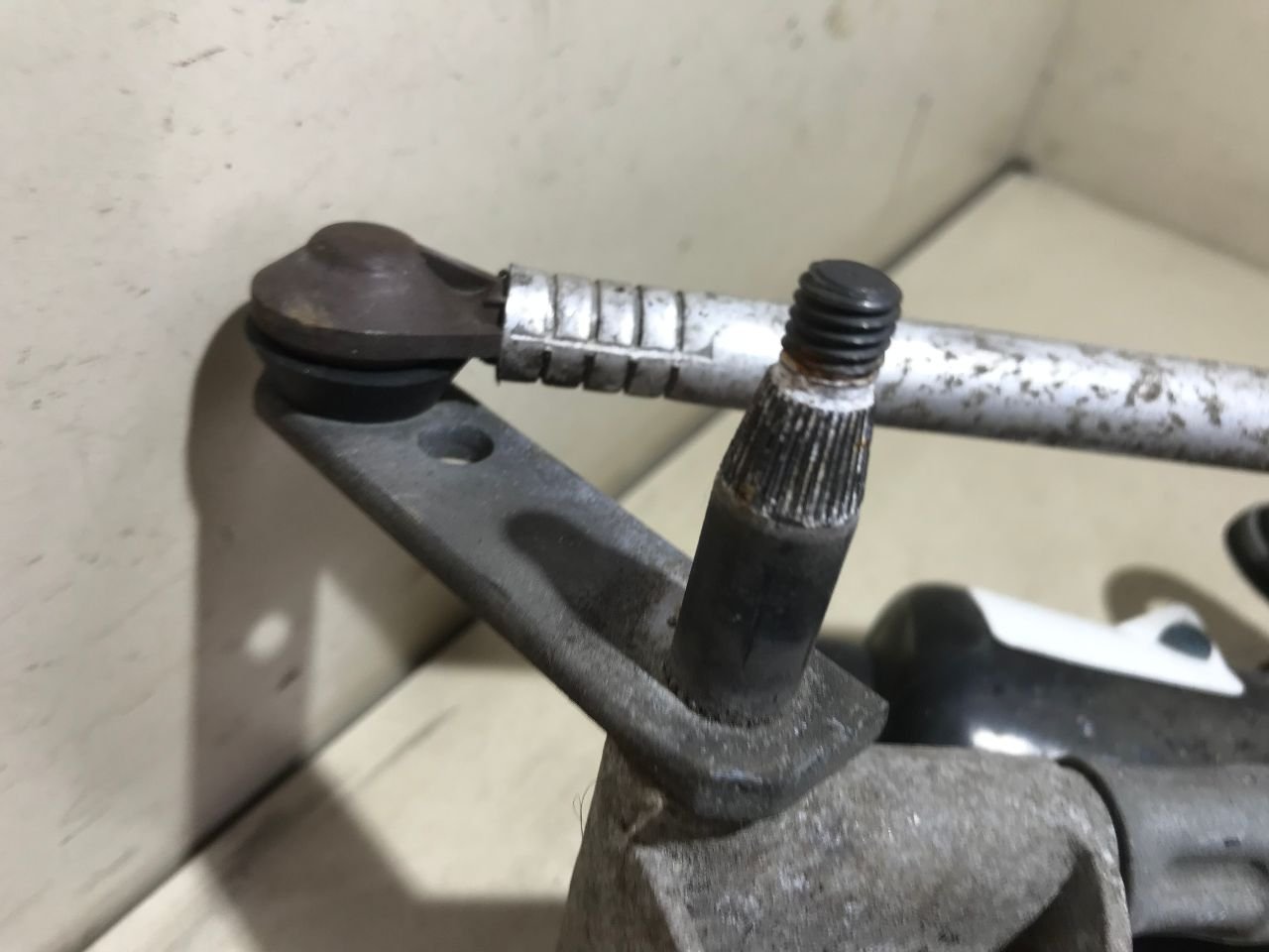 thumb