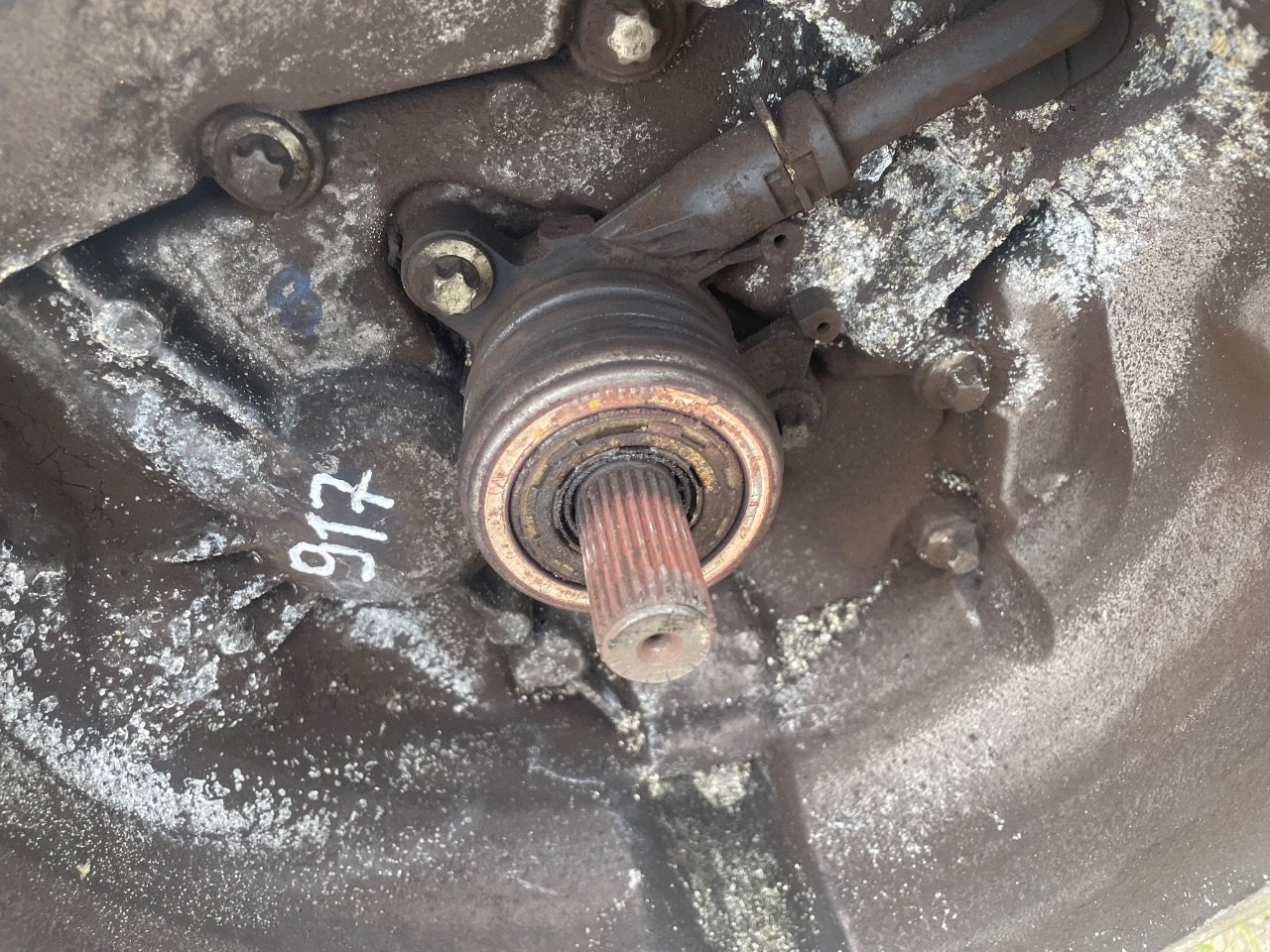thumb