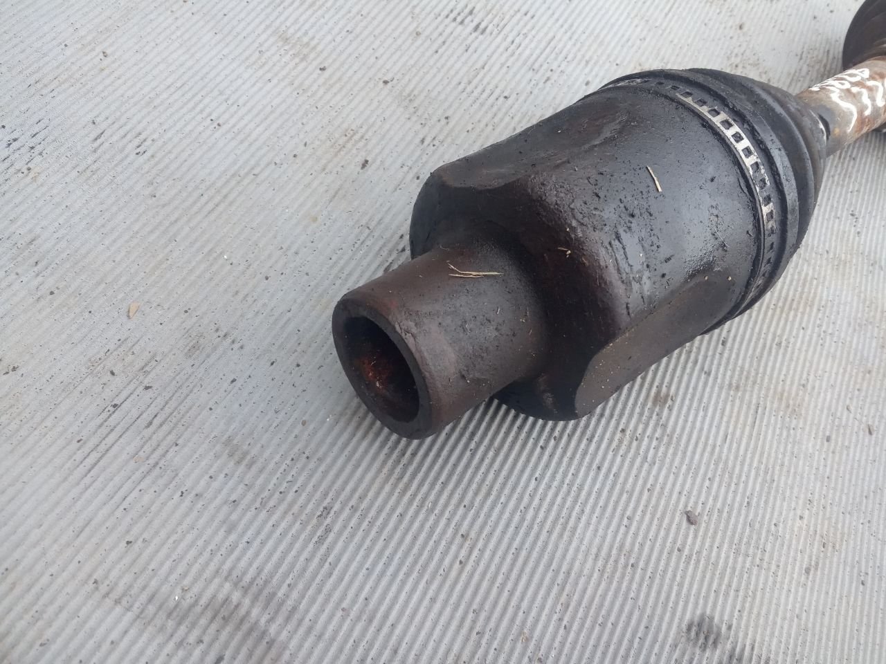 thumb