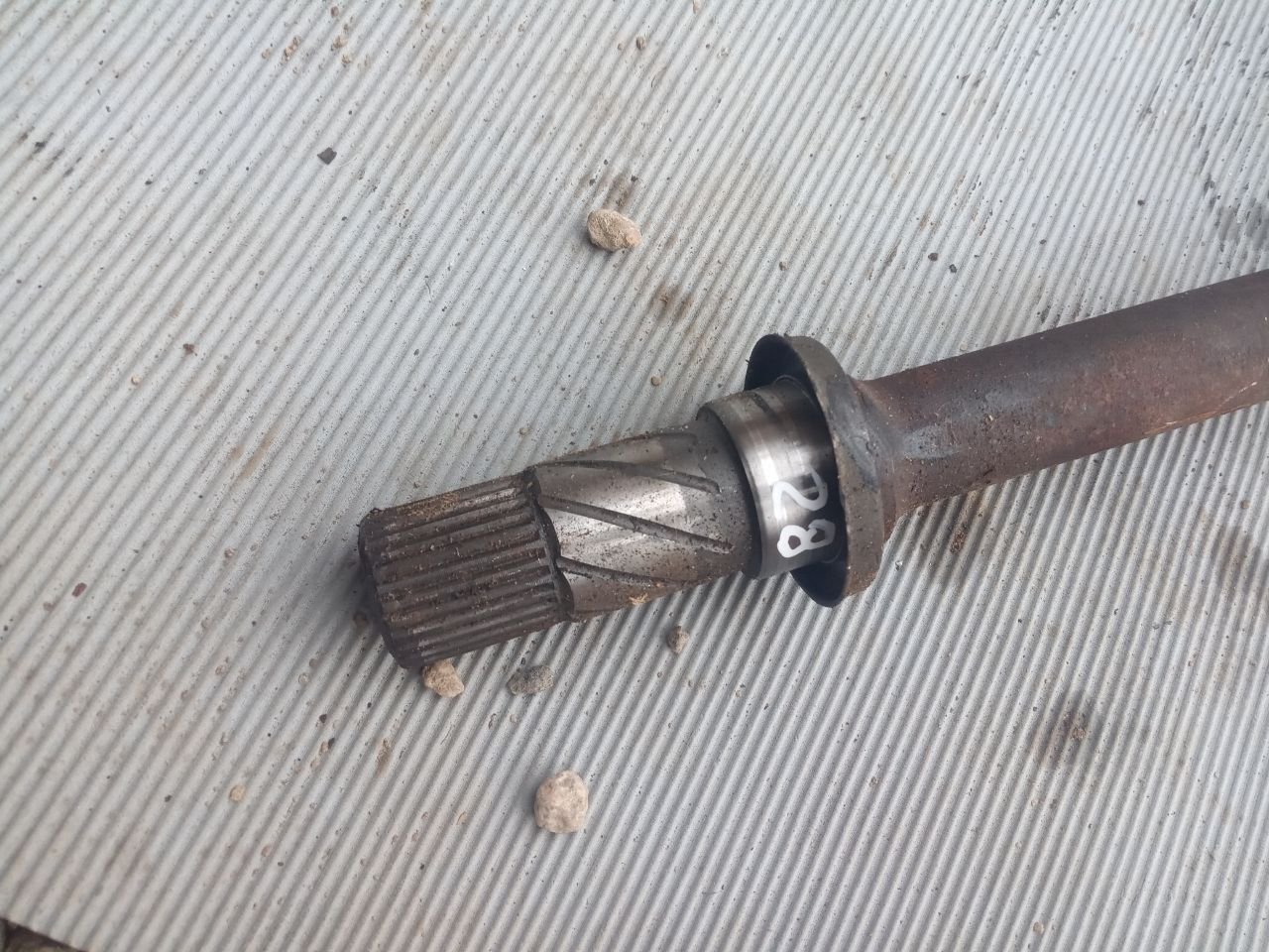 thumb