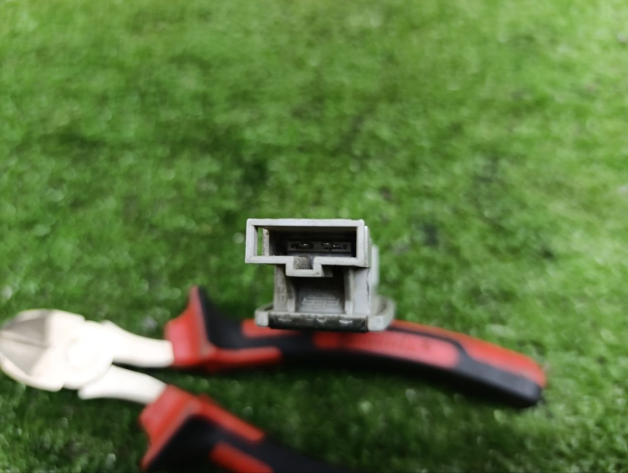 thumb