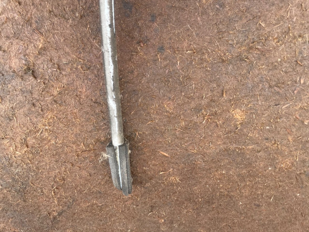 thumb