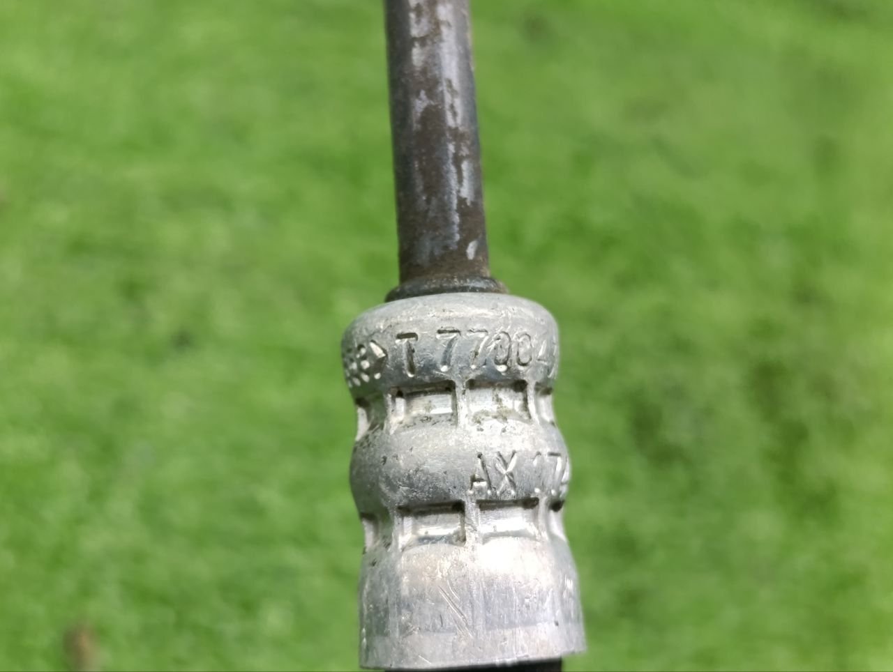 thumb