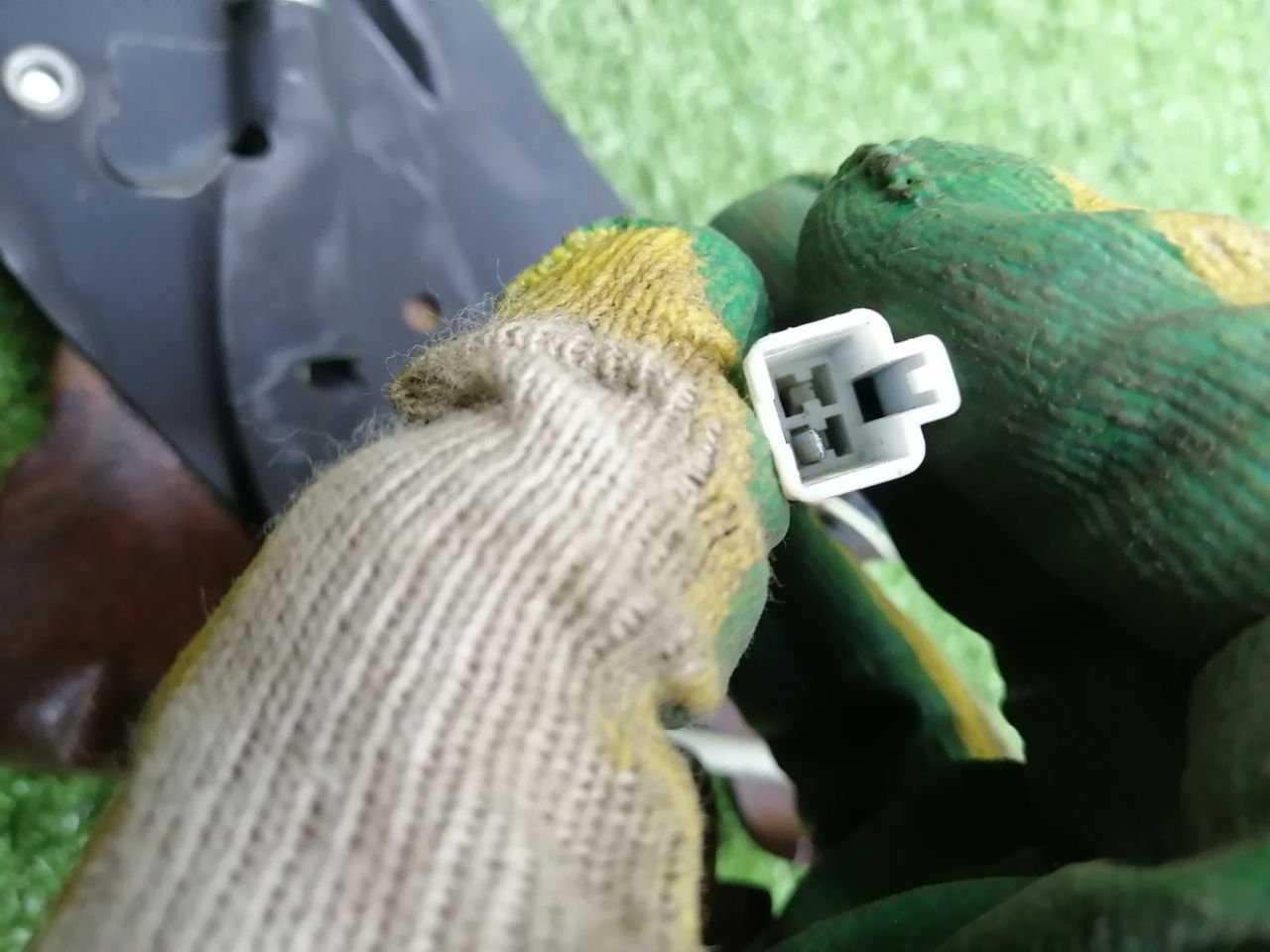 thumb