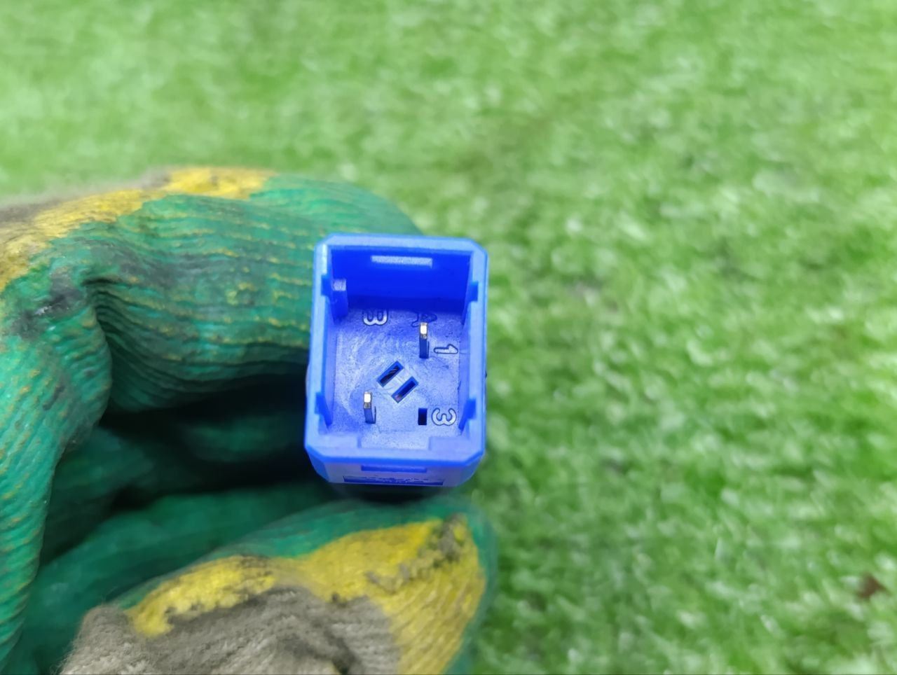 thumb