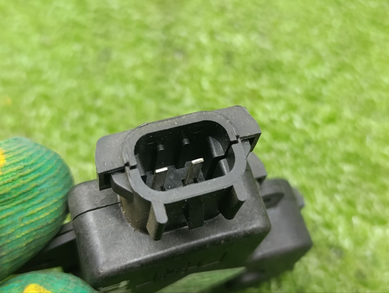 thumb