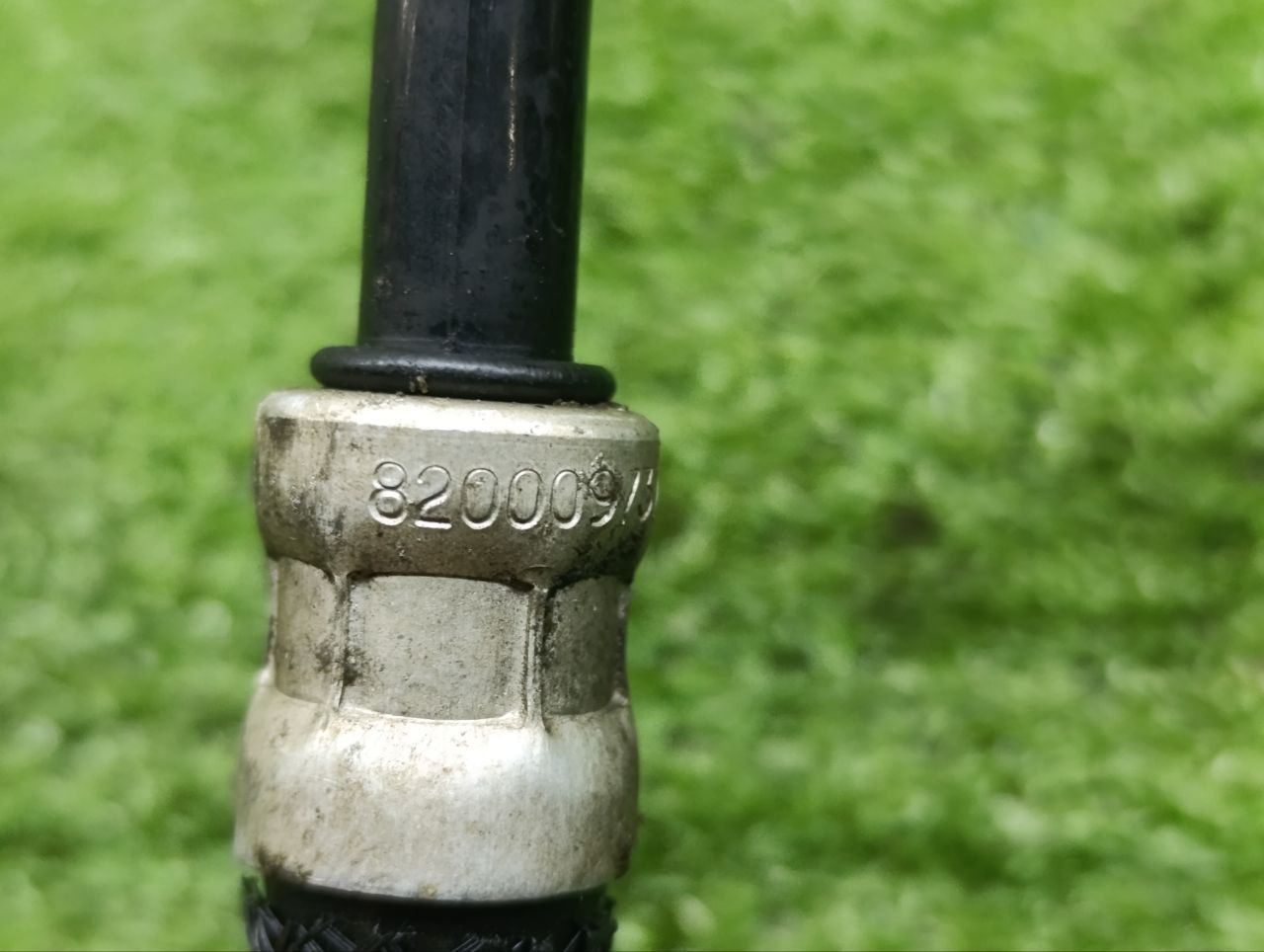 thumb