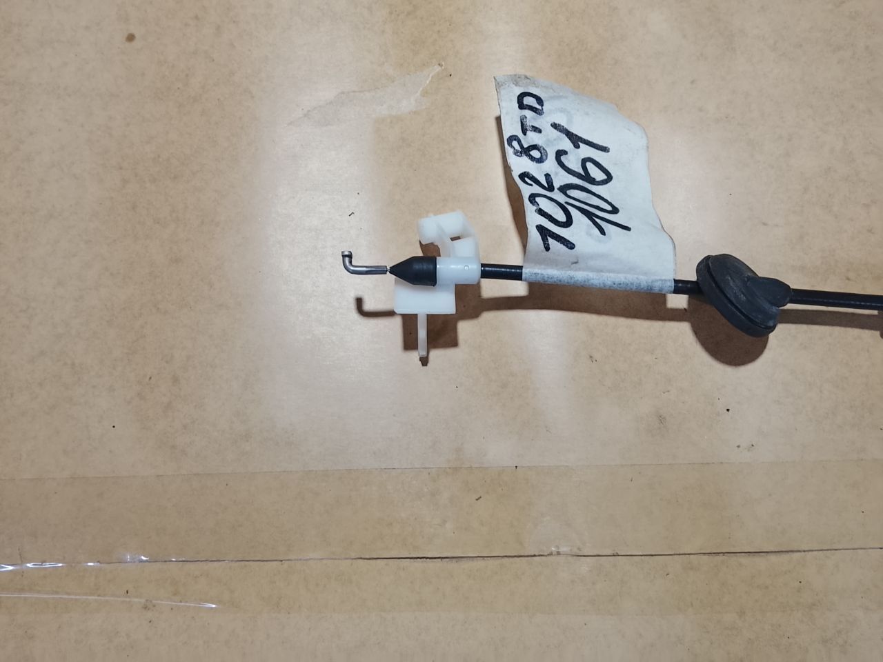 thumb